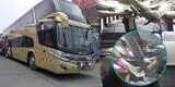Panamericana Sur: Gigantesca roca cae sobre bus de la empresa Flores y mata a un pasajero al destrozar el techo