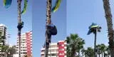 Miraflores: rescatan a parapentista que perdió el control y quedó colgando en palmera a varios metros del suelo