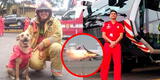 Aeropuerto Jorge Chávez: revelan los últimos segundos de los  bomberos que perdieron la vida en el accidente aéreo