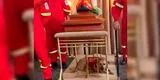 Perrito de bombero fallecido en Aeropuerto Jorge Chávez permaneció debajo de su féretro durante su velatorio [VIDEO]