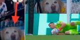 El perro que 'estuvo' en la tribuna y alentó a Argentina: su dueño lo llevó tras fallecer [FOTO]