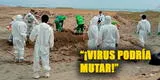 "¡Alerta!": Gripe aviar en el Perú podría MUTAR e ingresar al cuerpo humano, según Elmer Huerta  [VIDEO]