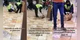 Perrito callejero ingresa al Real Plaza, pero seguridad lo llena de caricias y escena conmueve en TikTok