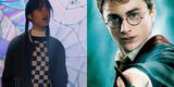 Estas son las escenas de Merlina que tienen similitudes con Harry Potter