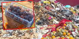Arequipa: toneladas de frutas llegaron podridas a mercados centrales tras 9 días de bloqueos en Chala [VIDEO]