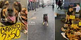 Perrito con cáncer ayuda a su dueña vendiendo sandalias en el Centro de Lima y hace llorar en TikTok