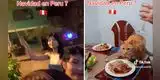 Salen a reventar cohetes y gato se aviva: se come la cena navideña y los deja con hambre [VIDEO]