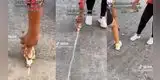 Quiso marcar la pista para jugar, usa cabeza de Rey Mago como tiza y es viral: “Por lo menos la cancha está bendecida”