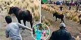 Huancavelica: incitó a toro en festividad y recibe violenta corneada que lo dejó grave en hospital
