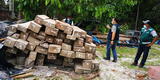 Loreto: condenan a 8 años de cárcel a un empresario por tráfico ilegal de cedro