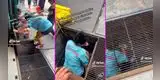 Peruana se mete a reja en Gamarra para recoger 0.50 céntimos y es viral en TikTok: “Plata es plata”