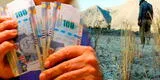 LINK Bono Sequía 2023: cronograma oficial para cobrar subsidio del Midagri