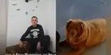 Conoce la historia de Bobi, el perro más longevo del mundo que acaba de conseguir un récord Guinness