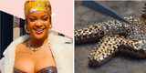 Super Bowl 2023: Rihanna y los lujosos collares que lucirá en el show de medio tiempo