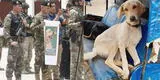 Marquito: perro policía que fue acribillado durante atentado en el VRAEM recibió honores en la Dinoes