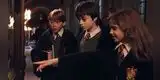 Harry Potter como gatito: así se ven los personajes gracias a la Inteligencia Artificial