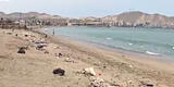 Terror en Ancón: hallan aves muertas en playa Las Conchitas y vecinos temen lo peor por la gripe aviar