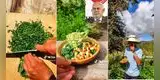 Joven apurimeño enseña al congresista Montoya cómo preparar un plato a base de alfalfa y es viral en TikTok