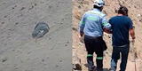 Surco: Persona con discapacidad visual cayó por un cerro de Las Casuarinas al acortar camino hacia SJM