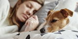 ¿Qué significa soñar con tu mascota enferma? ¿Es una mala señal?