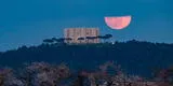 Luna de Gusano 2023: mira las espectaculares imágenes del singular fenómeno astronómico en el cielo