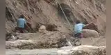 Peruano se expone ante caudal del río Chillón para rescatar a su cerdo atrapado: "Amor al chancho"