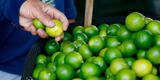 Precio del limón se dispara y llega a los S/ 18 el kilo en mercados de Lima tras intensas lluvias en el norte