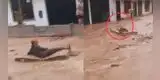 Peruano en pleno huaico la rompe con bodyboard usando un colchón: “De frente hasta Punta Hermosa”