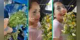 Joven quiso sorprender a su enamorada con flores amarillas, pero las confunde con manzanillas