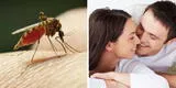 Mito o realidad: ¿el dengue se contagia durante las relaciones sexuales?