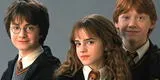 “Harry Potter de viejitos”: La Inteligencia Artificial nos muestra cómo se verían a los personajes en su vejez