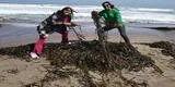 Buscan a nuevos reporteros ambientales de Perú
