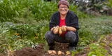 Muestra fotográfica “Ella Alimenta al Mundo: Agricultura es Cultura” ya se exhibe en el MUNA