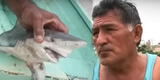 Pescadores de Punta Hermosa atemorizados con presencia de tiburones: ¿qué se sabe de estos carnívoros marinos?