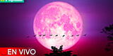Luna Rosa 2023 EN VIVO: sigue en directo la brillante luna llena de abril que iluminará el cielo en Perú