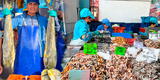 ¿Será un lujo? Conoce el precio de los pescados en el Terminal Pesquero del Callao y VMT por Semana Santa