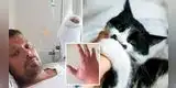 Hombre murió tras ser mordido por su gato e infectarse con bacteria “come carne”: agonizó 4 años