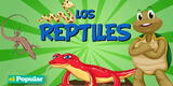 Explora las sorprendentes características de los reptiles y su diversidad en el mundo animal