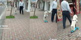 Perro se luce con un scooter por las calles y causa sensación: "Soy un niño camuflado de firulais"