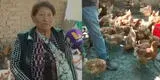 Huaral: damnificada por huaicos remata a S/ 20 sus gallinas ponedoras tras perderlo todo