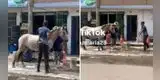 Caballo es lavado en un car wash y sorprende a los transeúntes: "Cosas que solo pasan en el Perú"