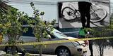 Ate: camioneta atropella y mata en el acto a ciclista que iba por la Carretera Central