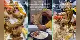 Joven queda en shock al encontrar un trozo de papel en su lomo saltado: "Es comida reciclada"