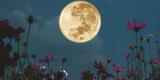 Eclipse de la luna de flores 2023: fecha, día, hora y cuándo se podrá ver