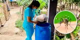 Lambayeque: casos de dengue nuevos aumenta a 900 en tan solo 24 horas
