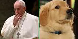Mujer pide al papa bendición para su perro y el enojado responde: "Hay niños con hambre"