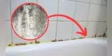 ¿Quieres eliminar el moho negro de la silicona de la bañera? Conoce los mejores trucos caseros