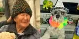 Mujer de 103 años busca inconsolablemente a su perrito "Raylu" desaparecido en Ate
