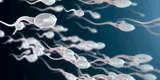 ¿Qué ocurre con los espermatozoides una vez finalizado el acto sexual? Información esencial
