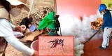 Lambayeque se posiciona como la cuidad con más muertes por dengue en el país
